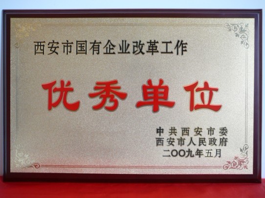 2009年5月，被西安市委、市政府評為西安市國企業(yè)改革工作優(yōu)秀單位